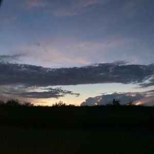 Meet your Posher, Bella